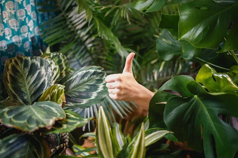 Emotional-Intelligence-is-a-game-changer