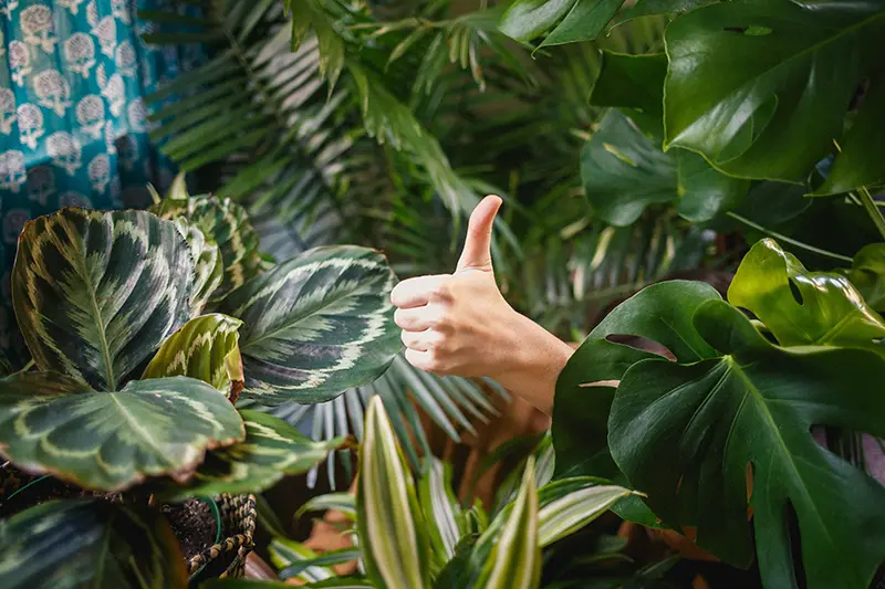 Emotional-Intelligence-is-a-game-changer